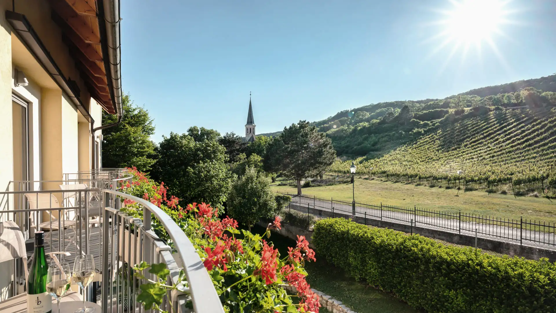 Blick auf die Weinberge von Gumpoldskirchen
