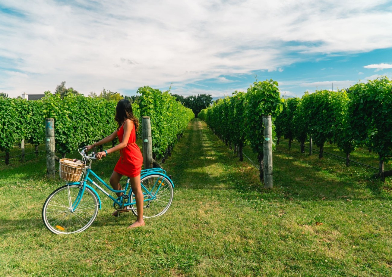 Radfahren Gumpoldskirchen © shutterstock.com