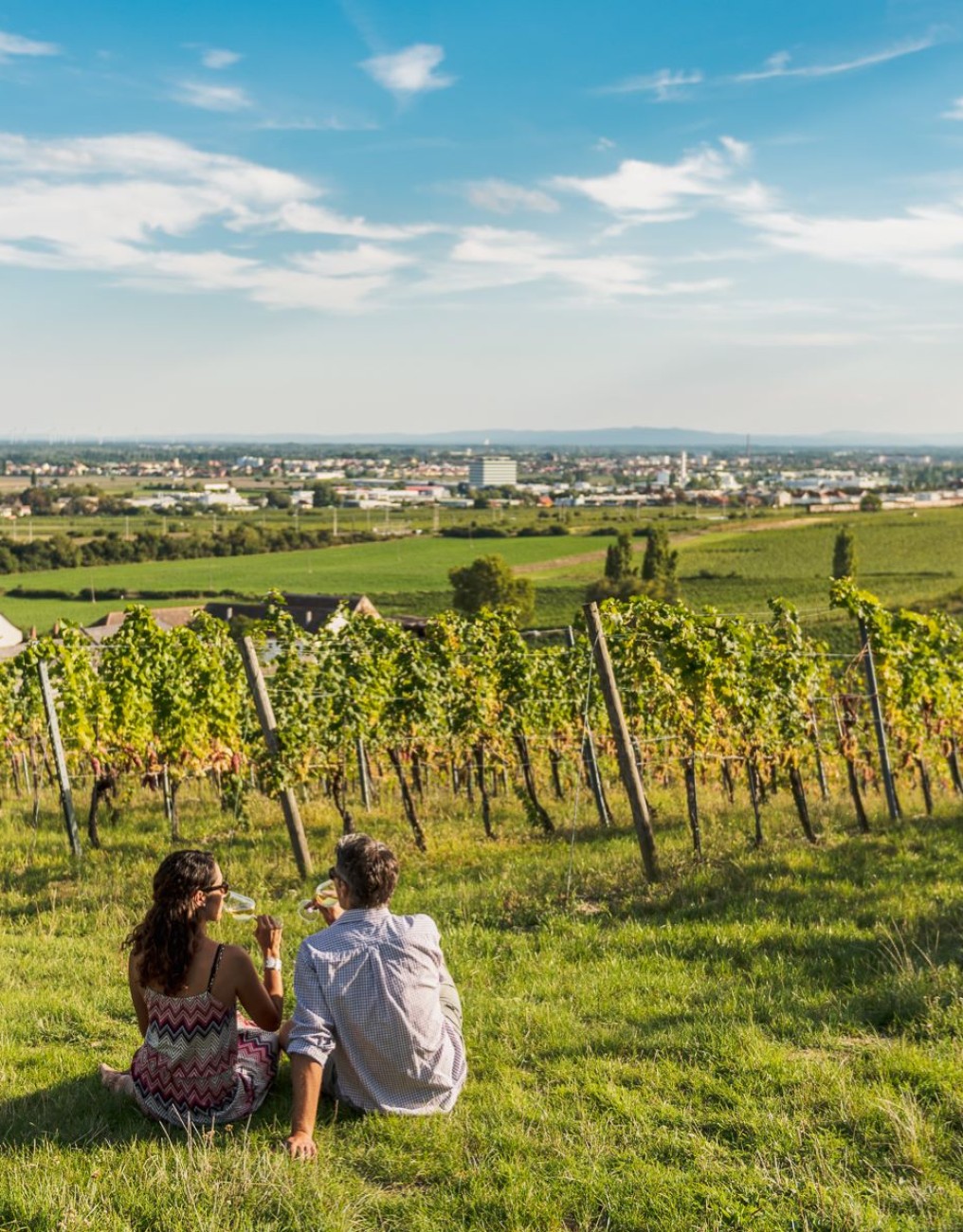 Weinverkostungen direkt in den Weinbergen