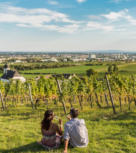 Genussvoll Urlauben mitten in den Weinbergen
