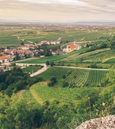 Traumhafte Umgebung in den Weinbergen zum Nachdenken und produktiv sein