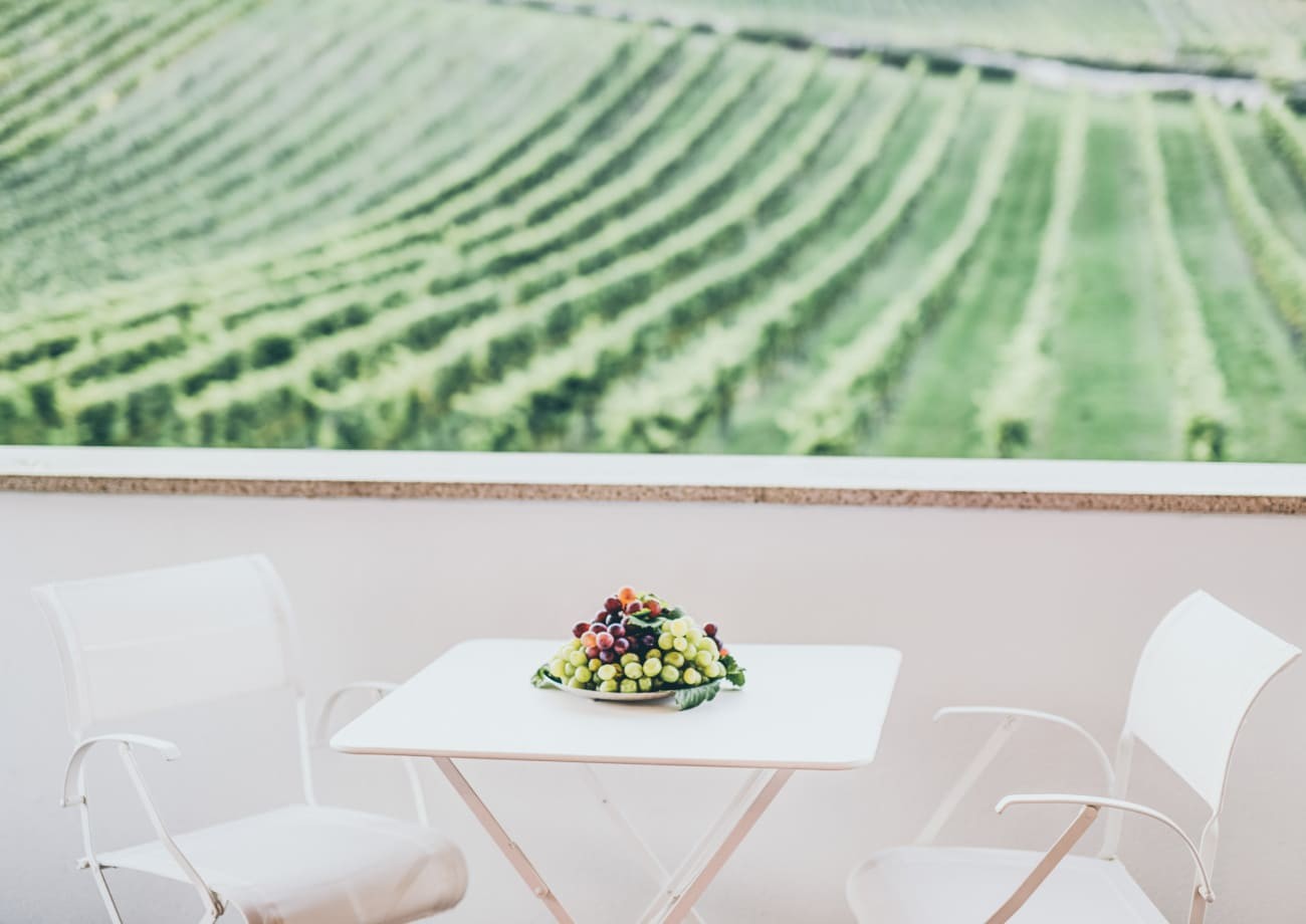 Die Aussicht auf die Weinberge